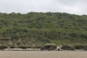 Falaise des vaches noires